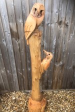 o. Owl and Woodpecker.jpg